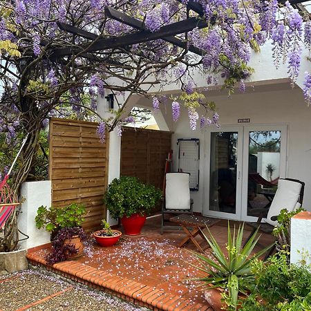Arriba Stijlvol Appartement Met Zwembad En Tuin Conil De La Frontera Esterno foto