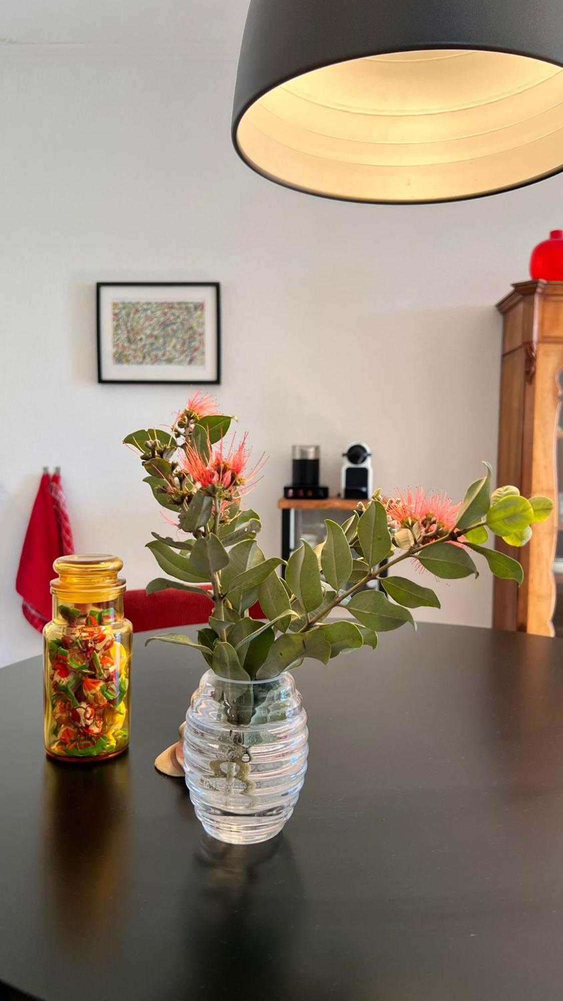 Arriba Stijlvol Appartement Met Zwembad En Tuin Conil De La Frontera Esterno foto