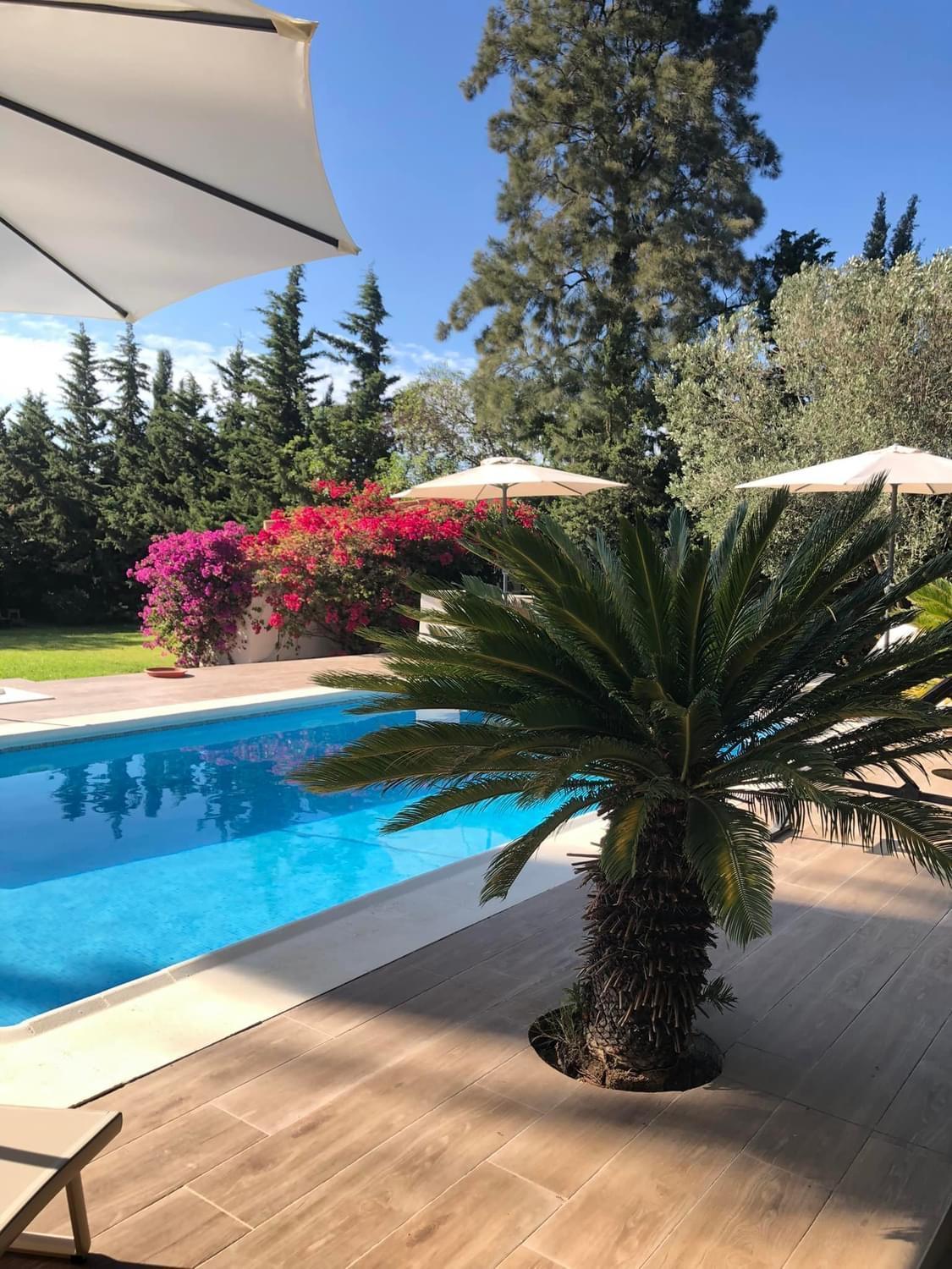 Arriba Stijlvol Appartement Met Zwembad En Tuin Conil De La Frontera Esterno foto