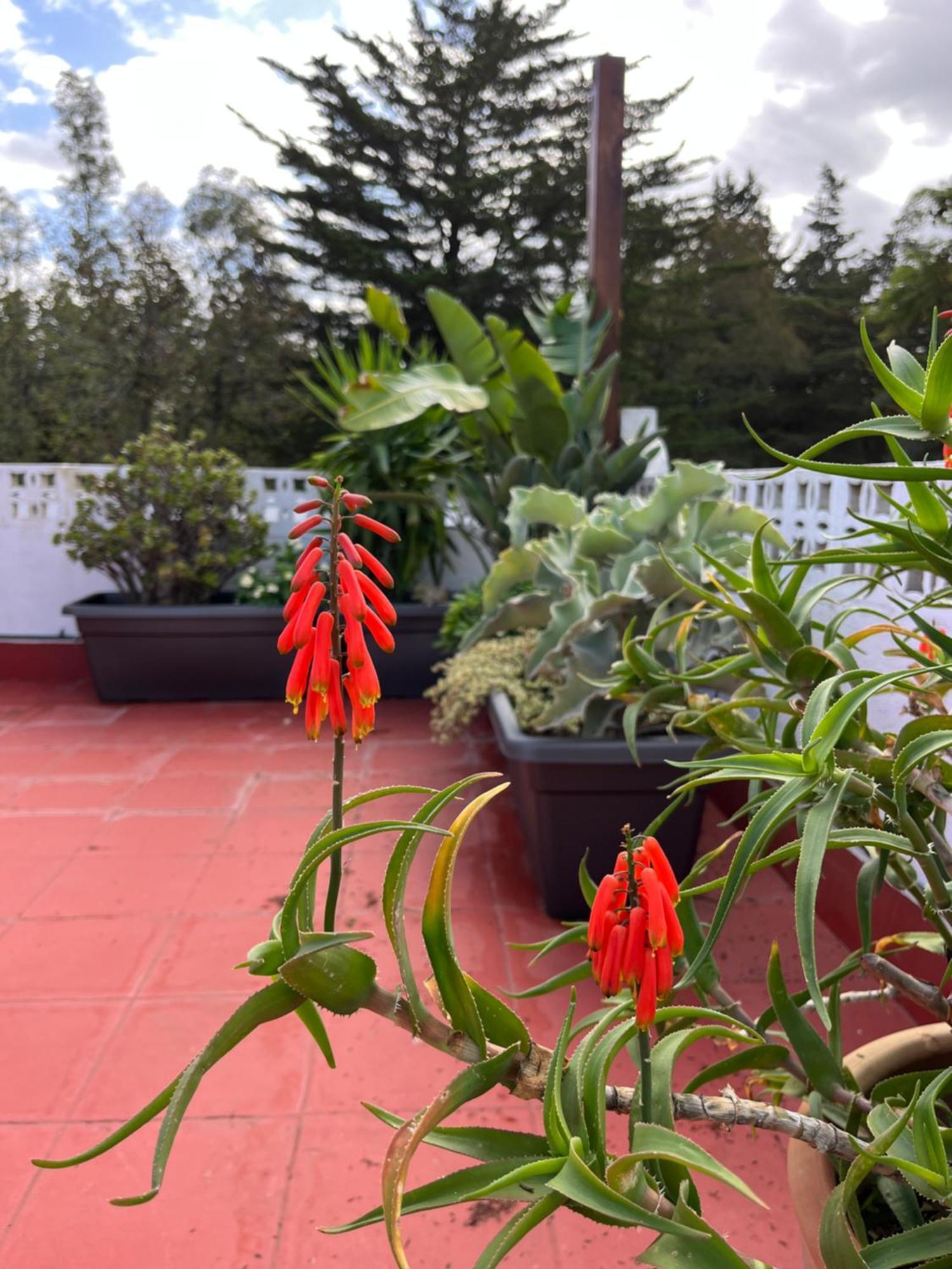 Arriba Stijlvol Appartement Met Zwembad En Tuin Conil De La Frontera Esterno foto