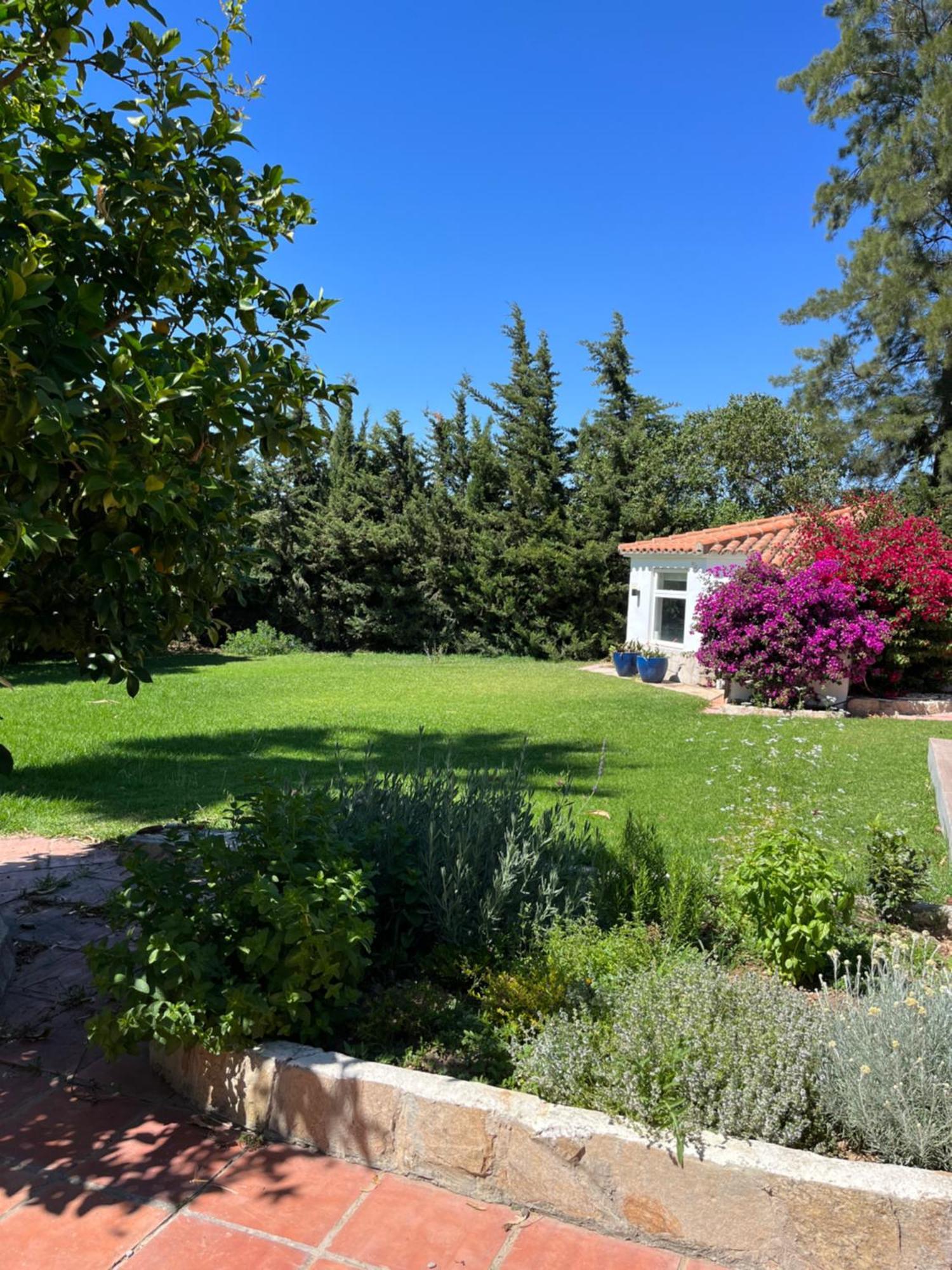 Arriba Stijlvol Appartement Met Zwembad En Tuin Conil De La Frontera Esterno foto