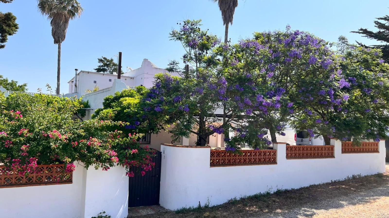 Arriba Stijlvol Appartement Met Zwembad En Tuin Conil De La Frontera Esterno foto