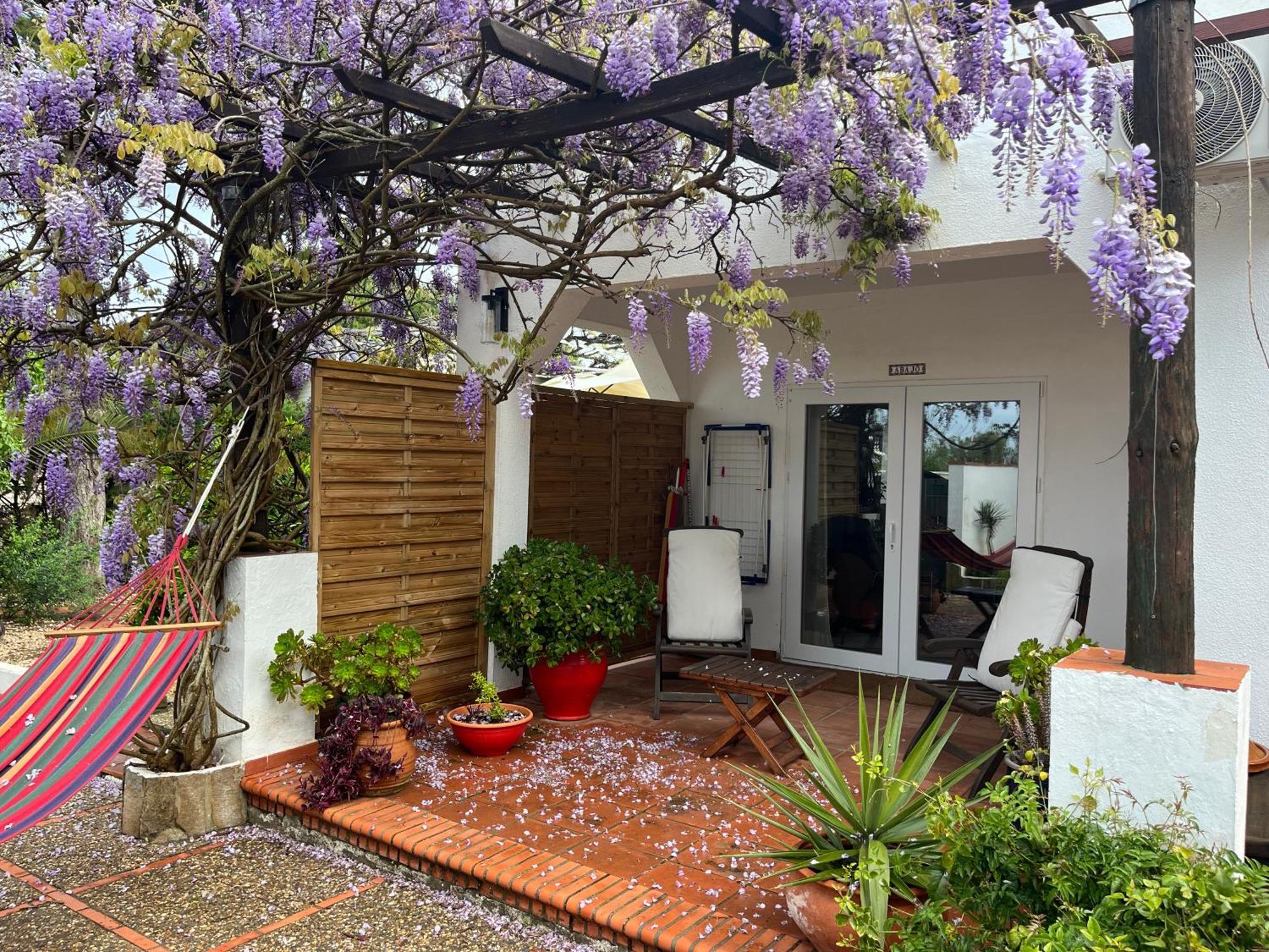 Arriba Stijlvol Appartement Met Zwembad En Tuin Conil De La Frontera Esterno foto